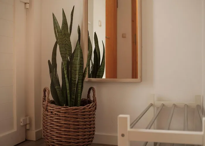 Ferien-und Montagewohnung Cramer Apartamento Gerolzhofen